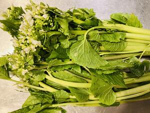 酒ありき肴　与一