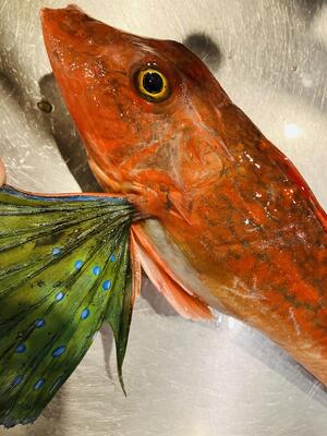 酒ありき肴　与一