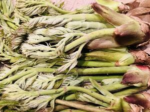 酒ありき肴　与一