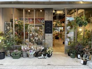 JUURI の画像