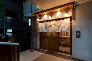 魚つばきの画像