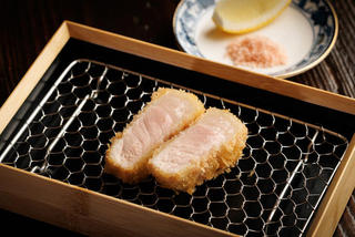 串カツ たぬきの画像