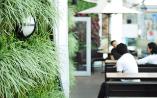 駒沢食堂georgeの画像