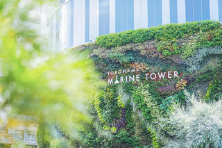THE TERRACE yokohama marine towerの画像