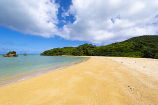 野菜巻き串 ぐるりくるり 石垣島の画像