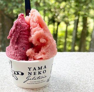 山里のジェラテリア山猫