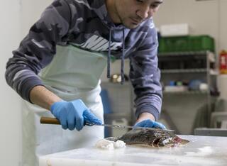 ご当地酒場 北海道八雲町　日本橋別館の画像