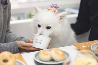 イチホテル浅草橋内レストランの画像