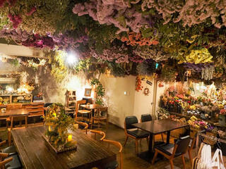 Lecoin　キタサンドウの画像