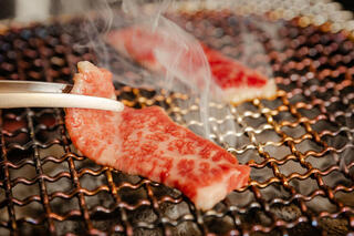 焼肉ひうち　大宮東口店の画像