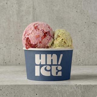 UN / ICE
