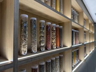 越後薬草溶岩よもぎ蒸し＆ONCAFEの画像