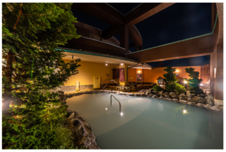 リゾートスパ施設　のだ温泉ほのかの画像