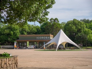 ICOROBA Cafe Teracceの画像