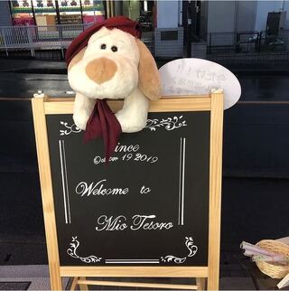 Mio Tesoro ～ミオ・テゾーロ～の求人情報 - 埼玉県さいたま市南区の 