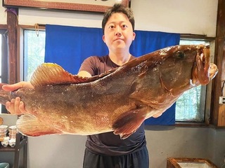 名前はまだない（仮称）の画像