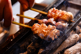 ヤキトリネクストサークルの画像