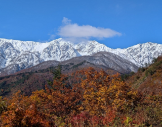 居酒屋 稗の画像