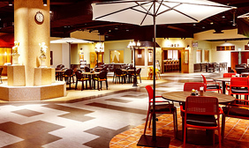 洋食 『Stella』の画像